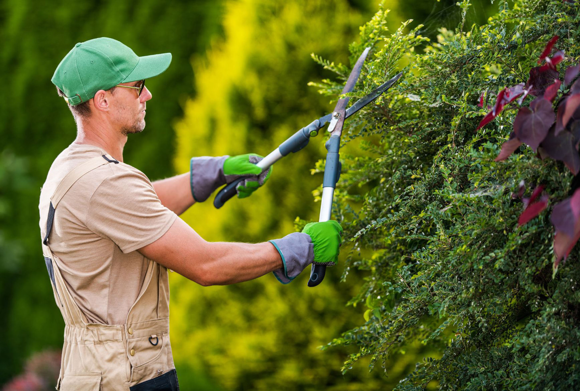 Fortec - Curso de Jardinagem
